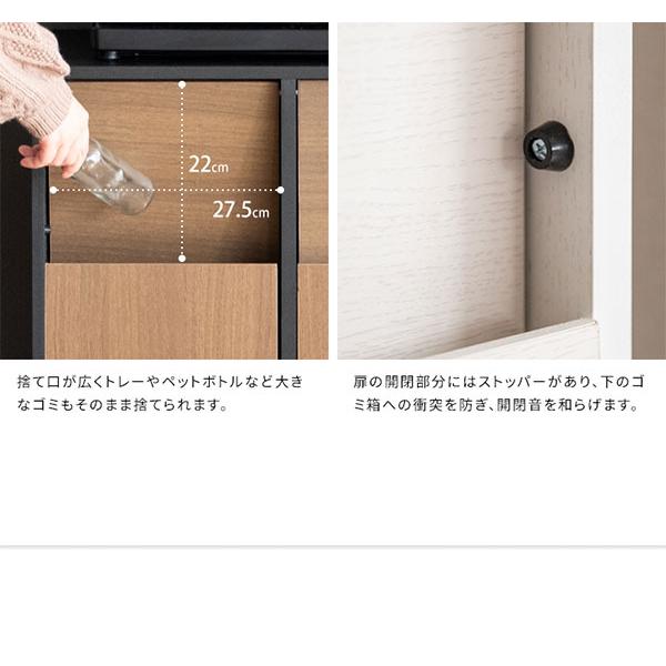 ゴミ箱 分別キャスター ダストボックス おしゃれ 北欧風 キャスター付き 大型 キッチン レンジ台 調味料 シンプル ゴミ袋が見えない Helios(ヘリオス) DB-F2100