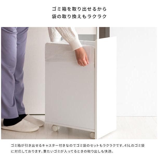 ゴミ箱 分別キャスター ダストボックス おしゃれ 北欧風 キャスター付き 大型 キッチン レンジ台 調味料 シンプル ゴミ袋が見えない Helios(ヘリオス) DB-F2100