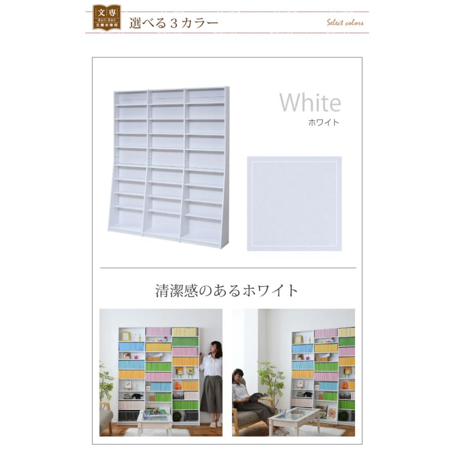 DT 1cmピッチ文庫本収納ラック 幅150cm 本棚 書棚 収納棚 ブックラック