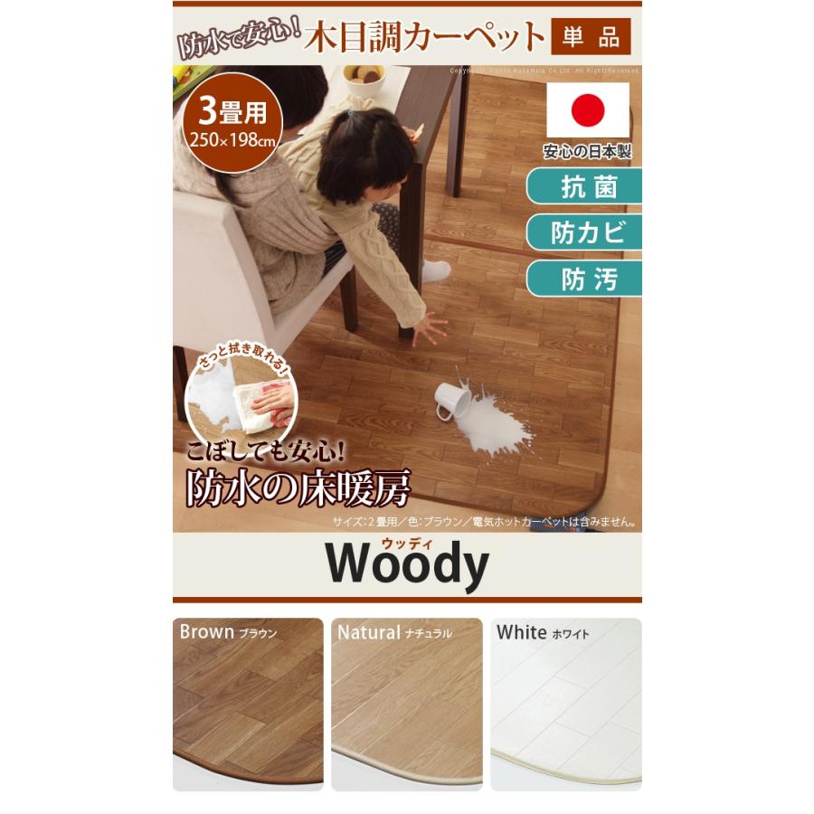 国産 抗菌・防カビ・防汚 床暖対応 防水 ホットカーペットカバー ラグ オールシーズン 木目調カーペット Woody(ウッディ) 250x198cm 3畳用 3色対応 61600003