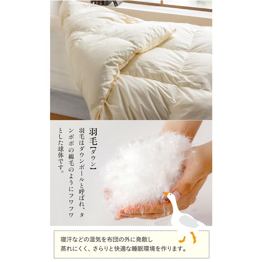 国内洗浄 日本製 羽毛布団 羽毛掛け布団 布団 掛布団 かけ布団 国内洗浄 日本製 羽毛布団 羽毛掛け布団 布団 掛布団 かけ布団