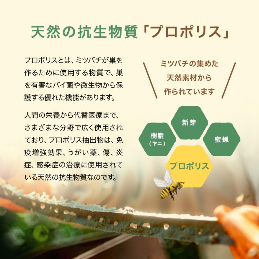 SOMA FOODS グリーン プロポリス 液体 原液 30ml 高濃度 天然由来 100