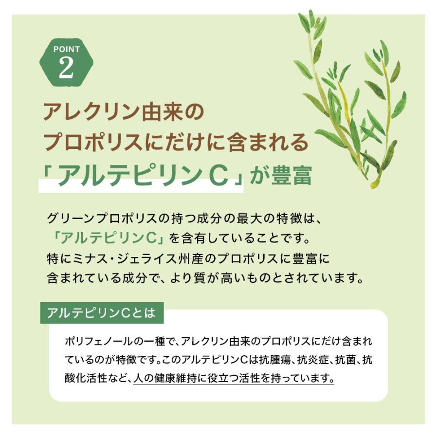 SOMA FOODS グリーン プロポリス 液体 原液 30ml 高濃度 天然由来 100