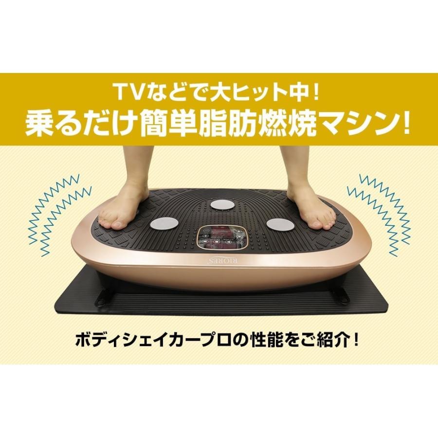 ブルブル 振動マシン ボディーシェイカープロ Pro ぶるぶる 静音 3D RIORES リオレス ブルブル トレーニング フィットネス エクササイズ ダイエット ギフト｜mobile-garage1｜10