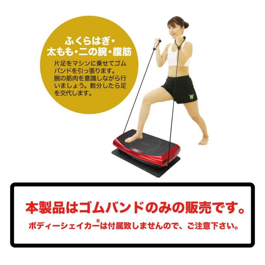 RIORES（リオレス） ブルブル 振動マシン ボディーシェイカーシリーズ
