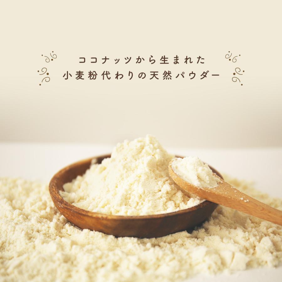 有機jas認定 オーガニック ココナッツフラワー大容量 500g スリランカ産 無添加 無漂白 粉末 お徳用 低gi ココナツ 椰子の実 送料無料 Coconut Flour 500g Mobile Garage 通販 Yahoo ショッピング