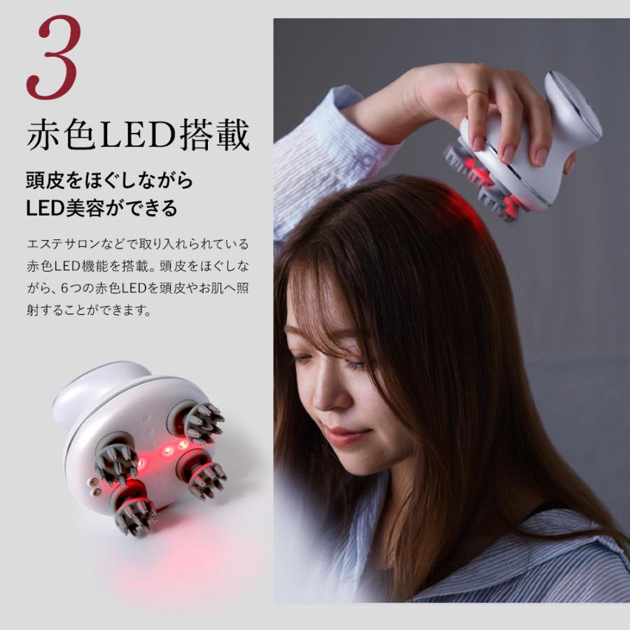 Risa様✩⋆確認専用ページ 🐕👋🏻