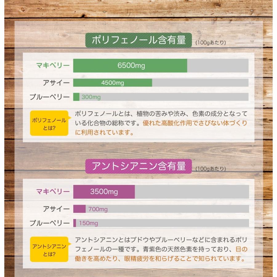 マキベリー パウダー 50g 送料無料 無添加 無着色 ポリフェノール アントシアニン 抗酸化 スーパーフード Maquiberry 50g Mobile Garage 通販 Yahoo ショッピング