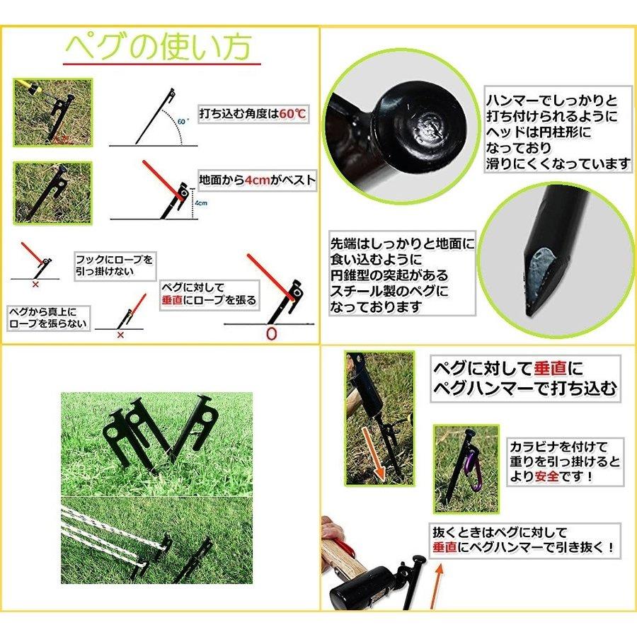 ペグ スチール ペグセット 8本セット 20cm × 4本 ＋ 25cm アウトドア