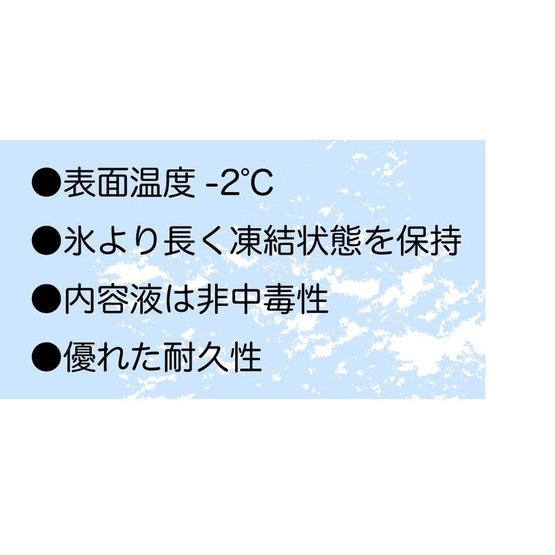 YETI イエティ ICE 2lb ice 保冷剤 アイス アウトドア キャンプ