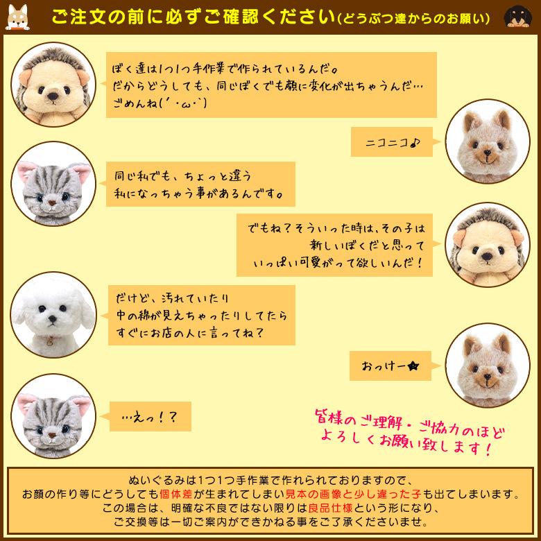 送料無料 ぬいぐるみ ひざわんこ トイプードル ベージュ P-3042 S