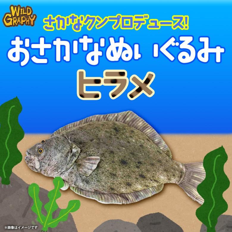ぬいぐるみ 魚 ヒラメ さかなくんプロデュース Sk005 おさかなぬいぐるみ 海の生き物 リアル 平目 太洋産業貿易 宅配便配送 M モバイルランド 通販 Yahoo ショッピング