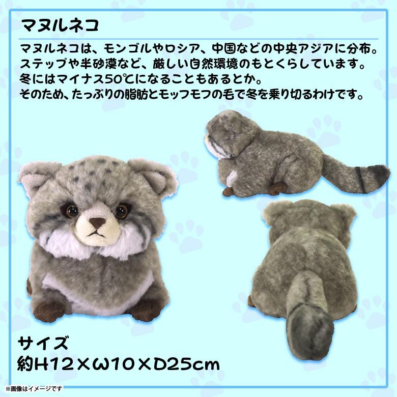 ぬいぐるみ マヌルネコ まぬるねこ Sサイズ P-6542 fluffies