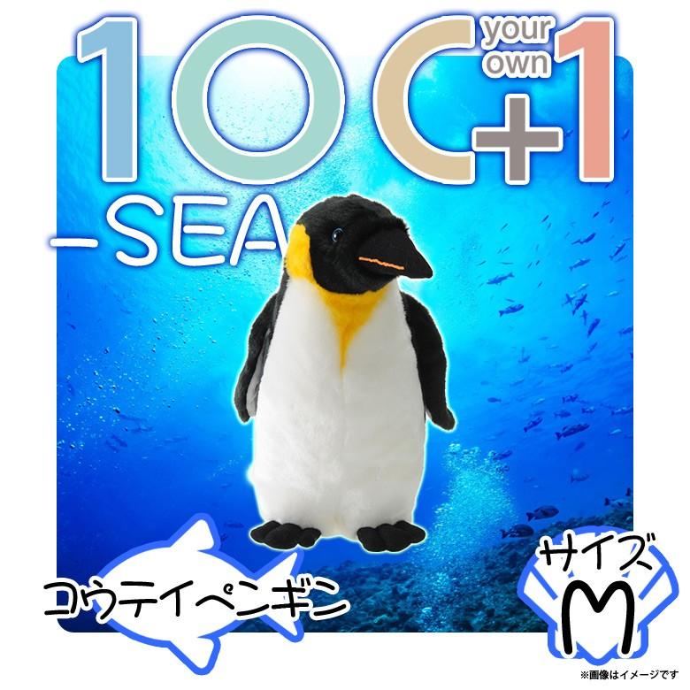 ペンギン フィヨルドランドペンギン 42 | HANSA