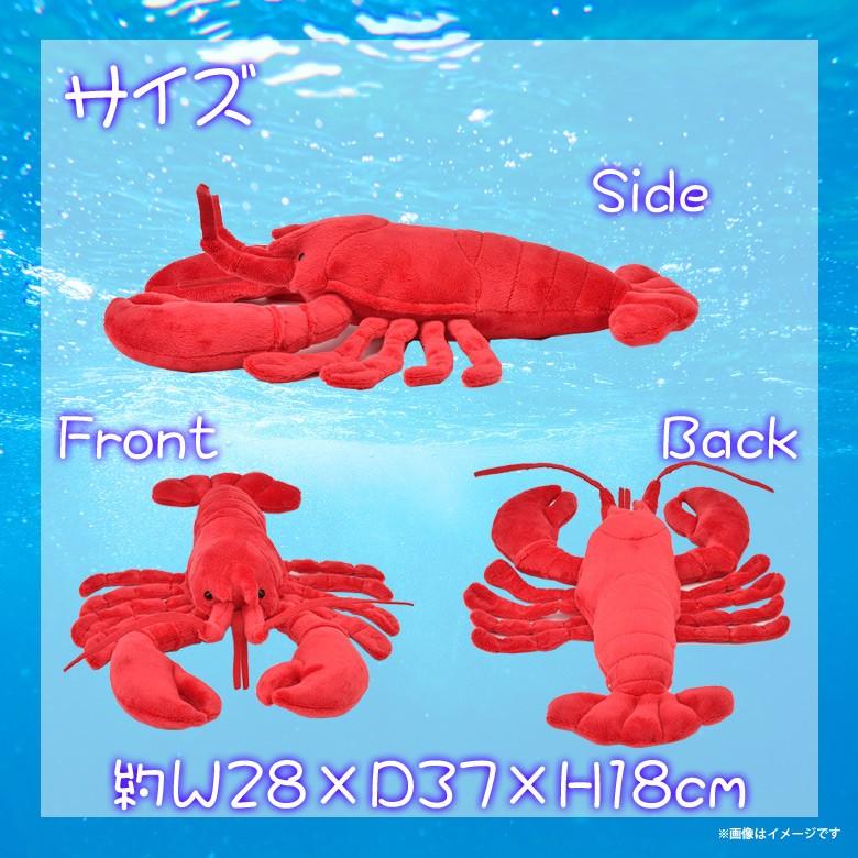 ぬいぐるみ エビ ロブスター SM124 0936 100+1 SEA 海に暮らす生き物