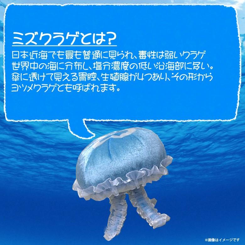 ぬいぐるみ クラゲ ミズクラゲ ブルー SQ044 0129 100+1 SEA 海に暮らす生き物たち 魚 ジェリーフィッシュ Sサイズ 太洋