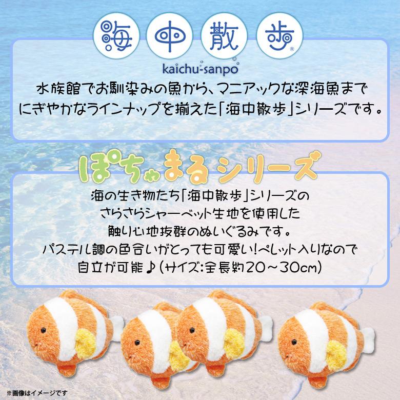 ぬいぐるみ 魚 クマノミ ぽちゃまる AKAITYUPOTYAM-KUMI 7281 海中散歩