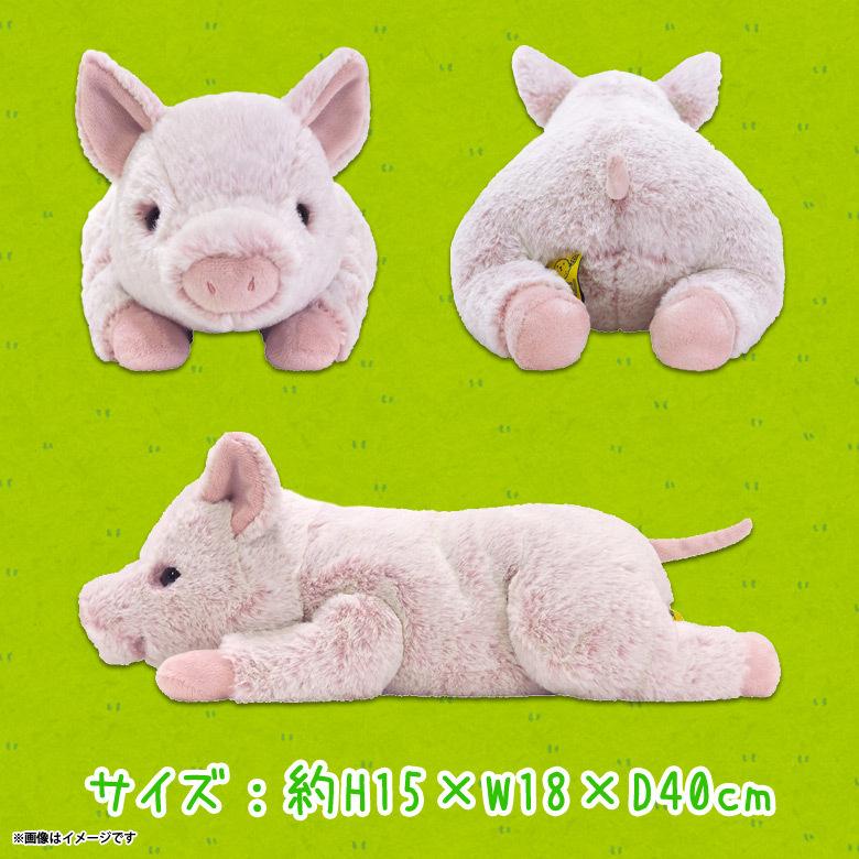ぬいぐるみ ひざぶた ブタ 豚 P 72 柔らかな素材 手触り抜群 しっとりツヤ サンレモン 宅配便配送 M モバイルランド 通販 Yahoo ショッピング