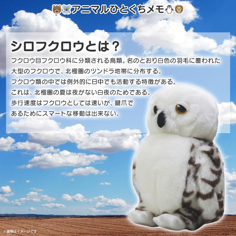 ぬいぐるみ フクロウ シロフクロウ ふくろう 鳥 SM106 0752 100+ ぬいぐるみ フクロウ シロフクロウ ふくろう 鳥 SM106 0752 100+