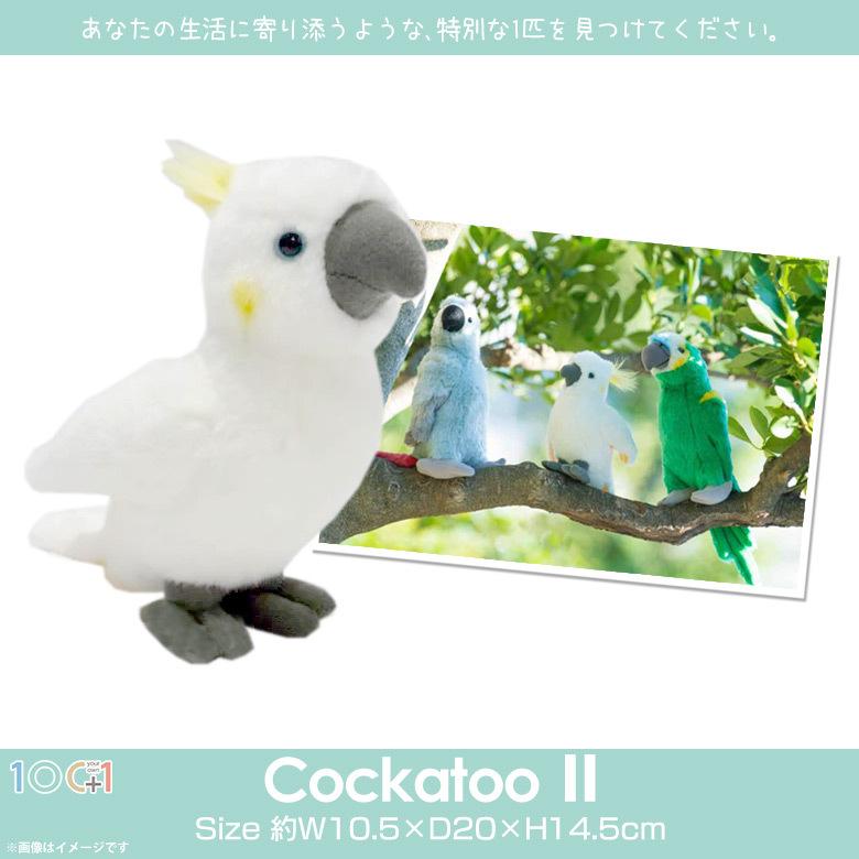ぬいぐるみ 鳥 オウム Sm312 2701 100 1 Sky アニマル 動物 リアル 太洋産業貿易 定形外郵便発送 M モバイルランド 通販 Yahoo ショッピング