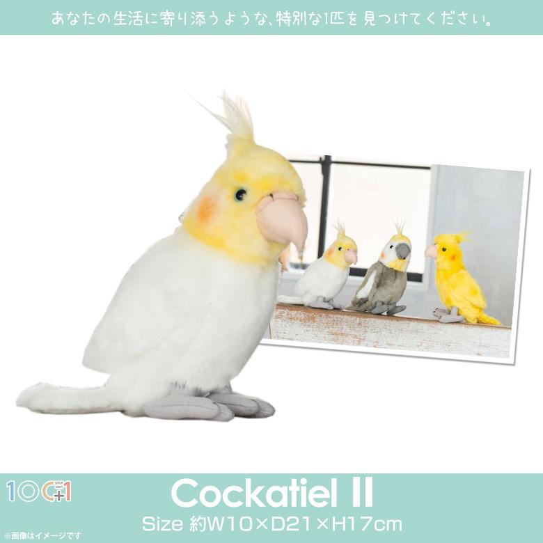 ぬいぐるみ 鳥 オカメインコ インコ SM298 2565 100+1 SKY アニマル 動物 リアル 太洋産業貿易 定形外郵便発送｜mobile-land