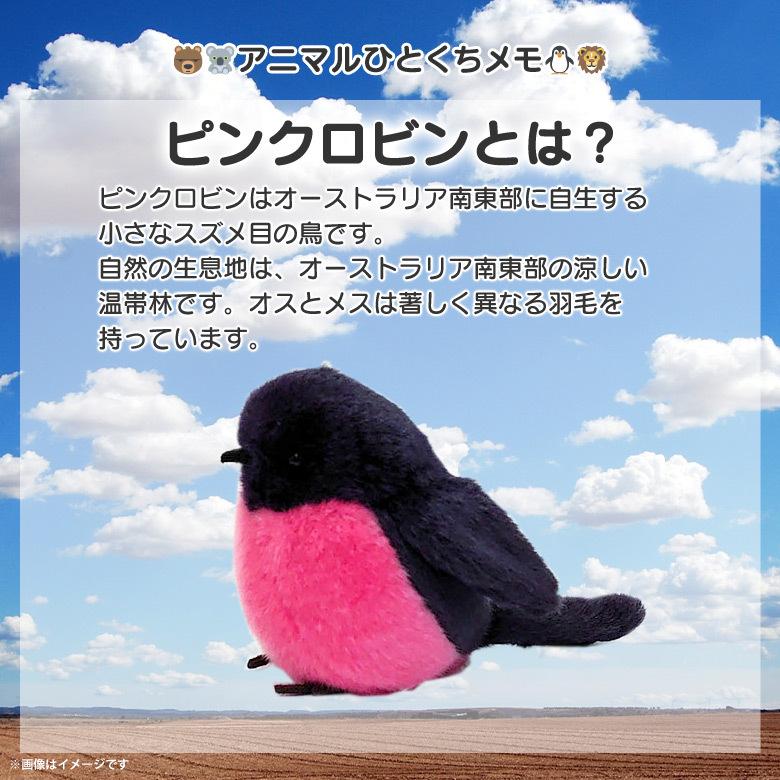 ぬいぐるみ 鳥 ピンクロビン SM316 2749 100+1 SKY アニマル ぬいぐるみ 鳥 ピンクロビン SM316 2749 100+1 SKY アニマル