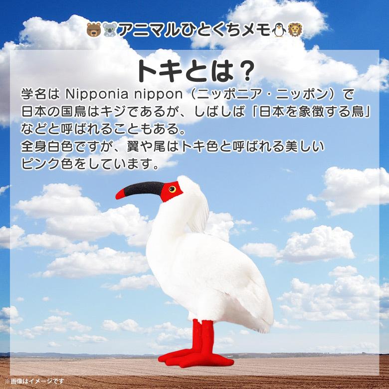 ぬいぐるみ 鳥 トキ 朱鷺 Sm178 1476 100 1 Sky アニマル 動物 リアル 太洋産業貿易 宅配便配送 M モバイルランド 通販 Yahoo ショッピング