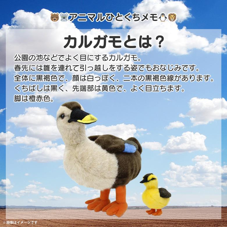 ぬいぐるみ 鳥 カルガモ かるがも SM246 2046 100+1 SKY ぬいぐるみ 鳥 カルガモ かるがも SM246 2046 100+1 SKY
