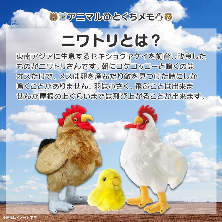 ぬいぐるみ ヒヨコ ひよこ 子ども 鳥 SM297 2558 100+1 SKY ぬいぐるみ ヒヨコ ひよこ 子ども 鳥 SM297 2558 100+1 SKY