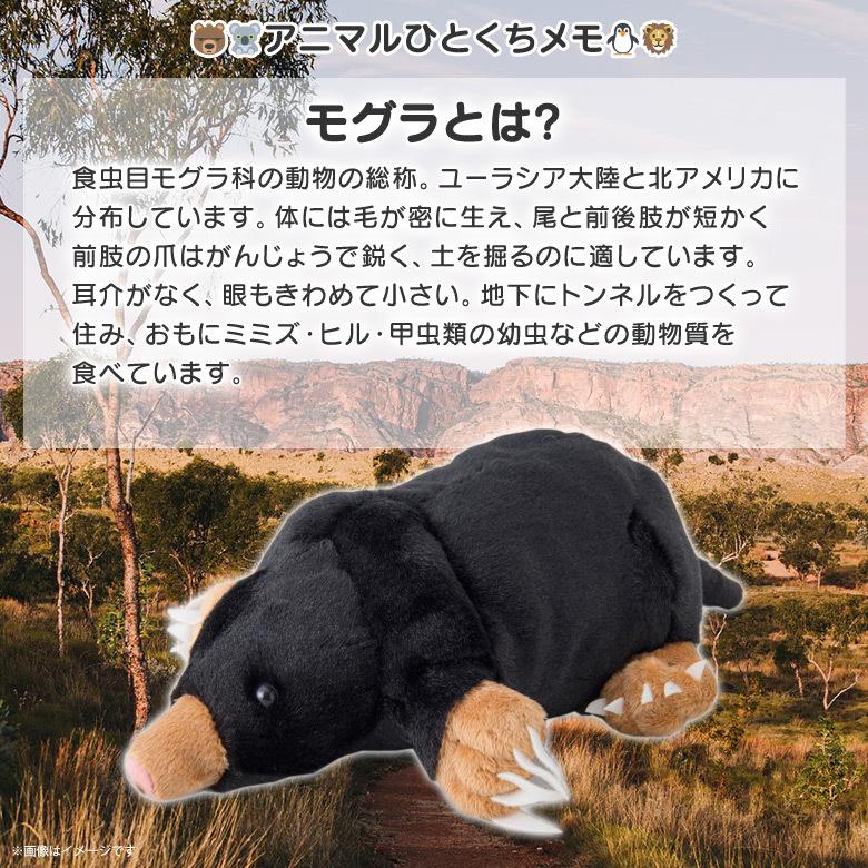 ぬいぐるみ モグラ もぐら SM284 2428 100+1 LAND アニマル 動物
