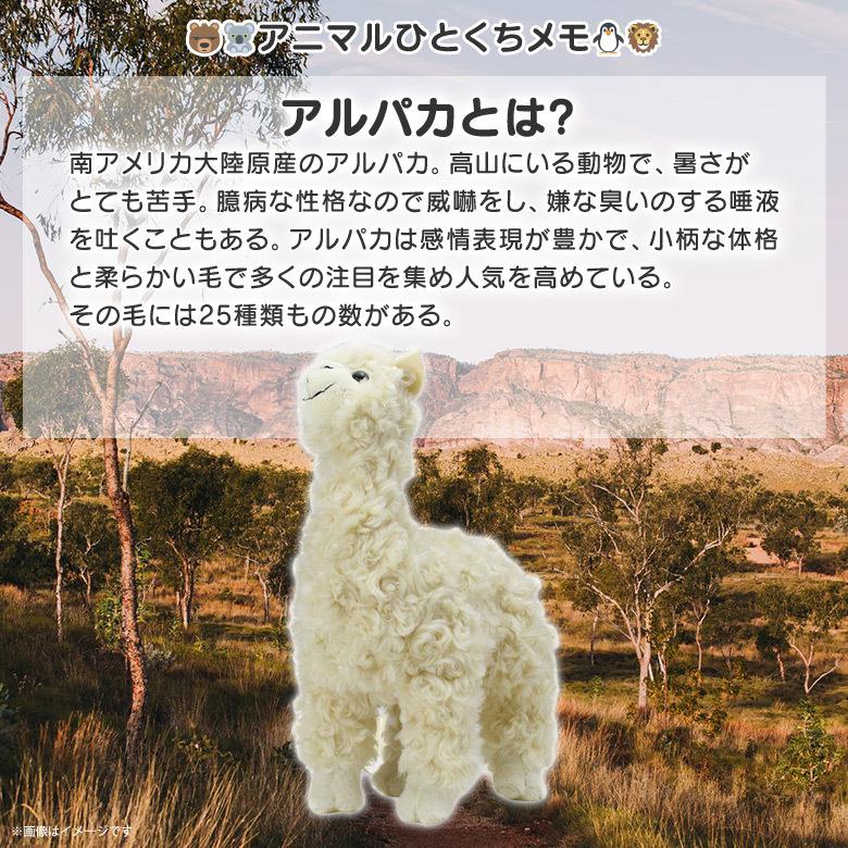 ぬいぐるみ アルパカ あるぱか Sm5 1636 100 1 Land アニマル 動物 リアル 太洋産業貿易 宅配便配送 M モバイルランド 通販 Yahoo ショッピング