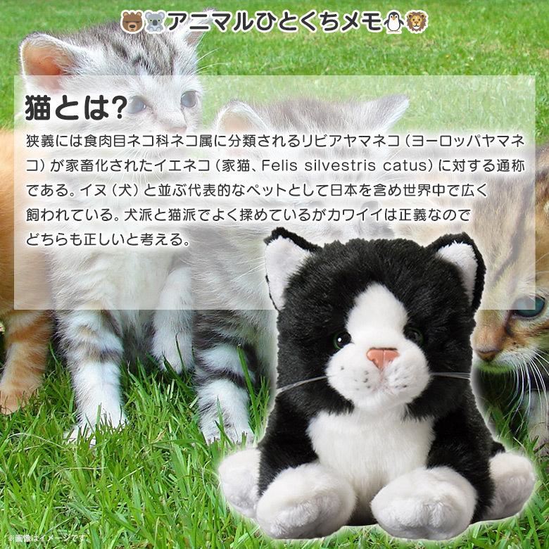 ぬいぐるみ 猫 仔猫 ハチワレ Sm170 1391 100 1 Pet ペット ねこ ネコ 太洋産業貿易 宅配便配送 M モバイルランド 通販 Yahoo ショッピング
