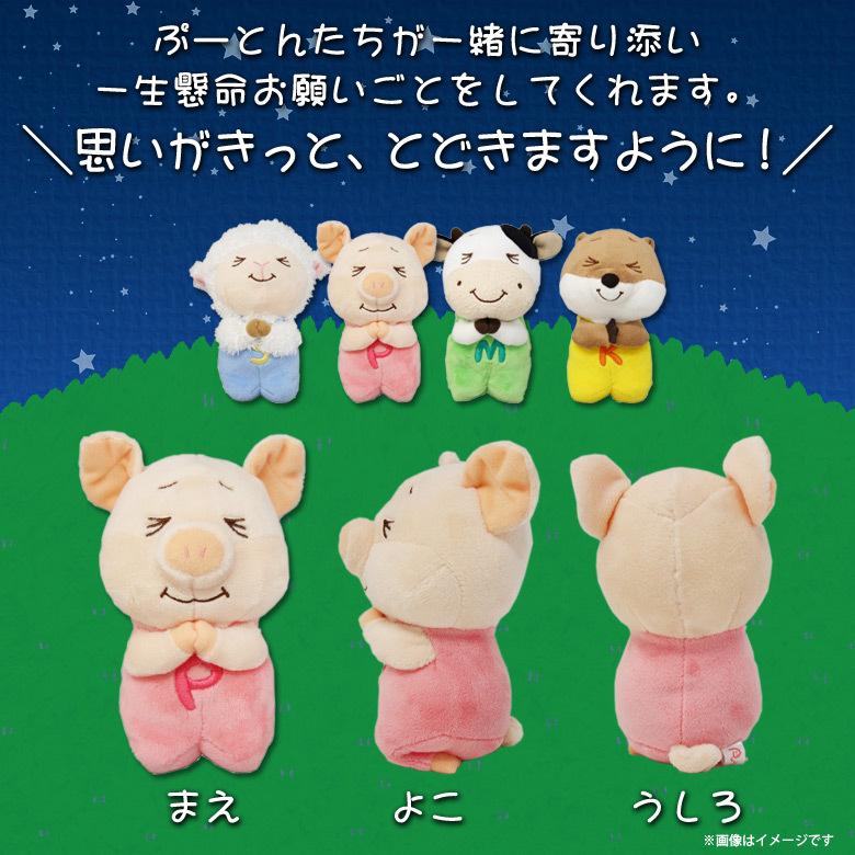 ぬいぐるみ ぶた ブタ 豚 ぷーとん おねがい お祈りポーズ 0243 ぷーと