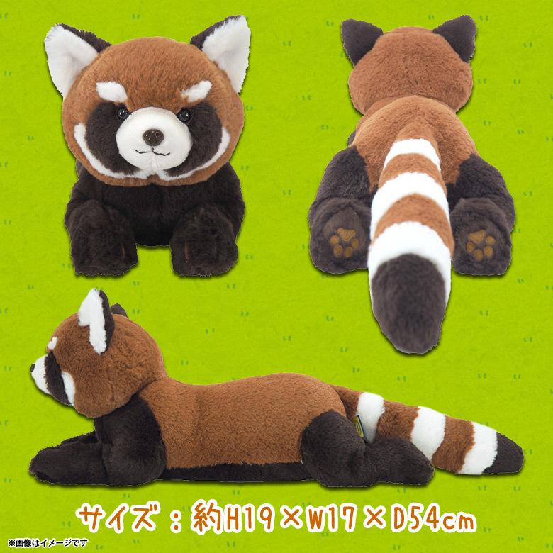送料無料 ぬいぐるみ ひざれっさー レッサーパンダ しましま P-8112 S