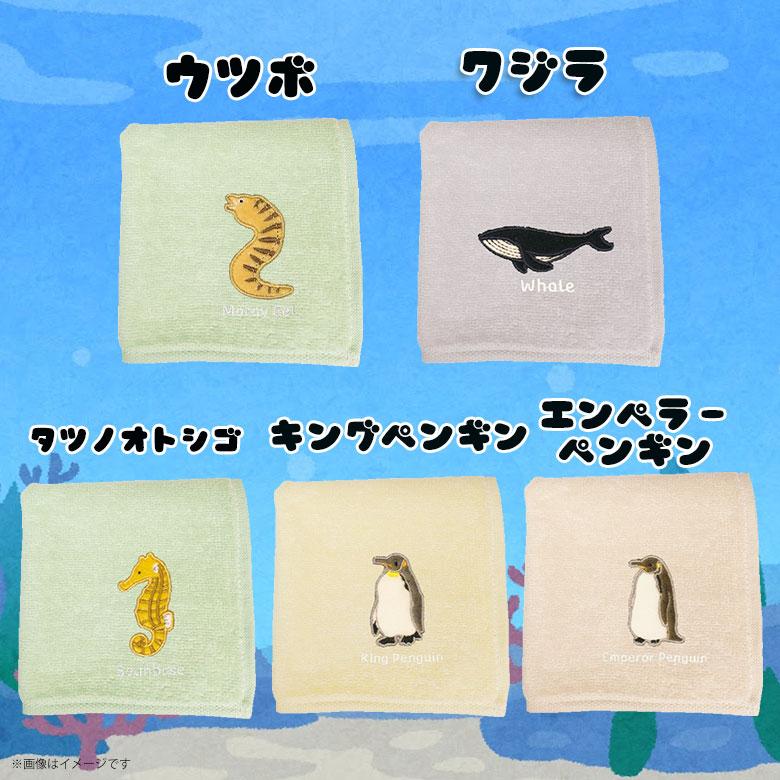 ハンカチ アクアチック 動物 海 水族館 雑貨 人気 プレゼント ギフト