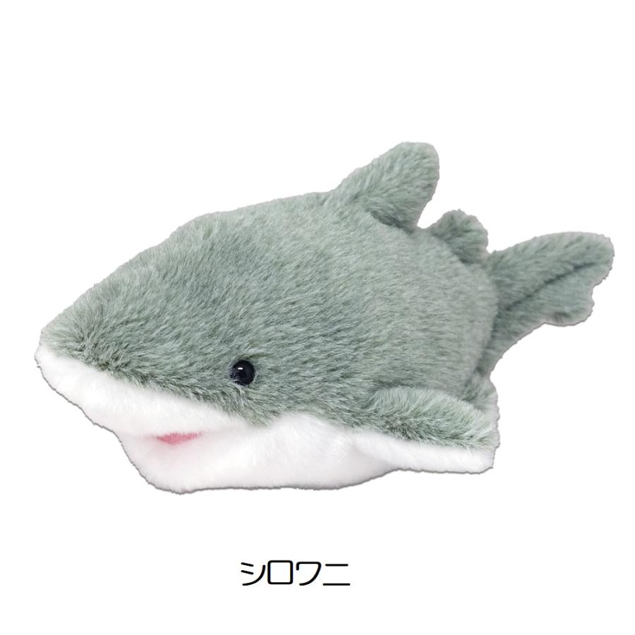 海中散歩ぽちゃまるシリーズ Sサイズ 全3種 ピラルク シロワニ イルカ