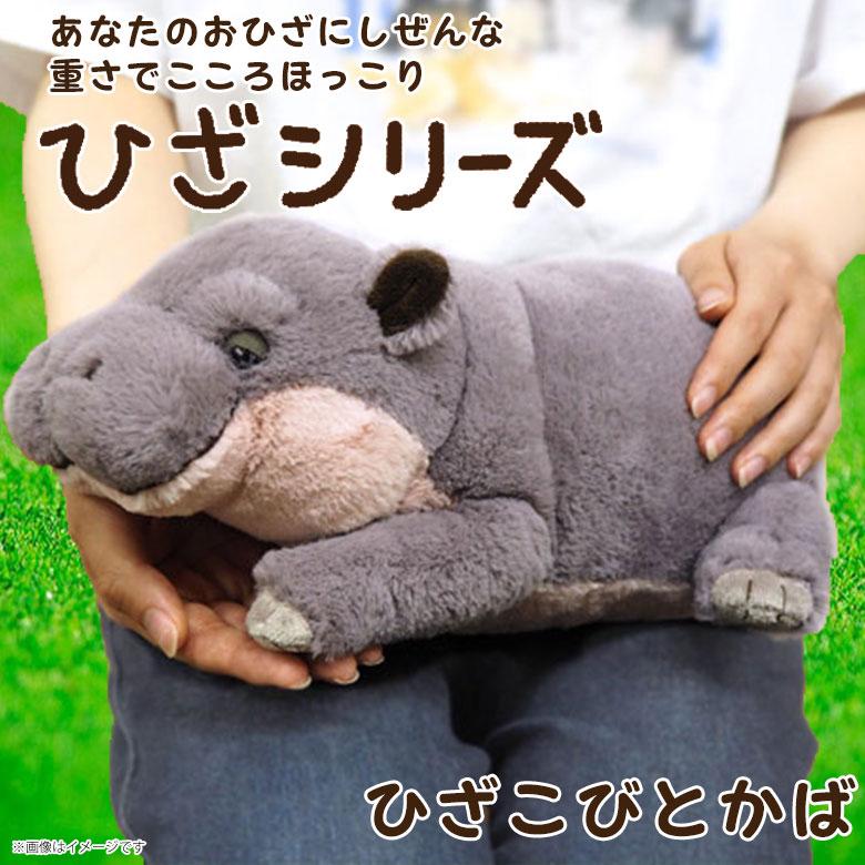 即納 ぬいぐるみ ひざこびとかば P-1143 ひざシリーズ サンレモン 正規