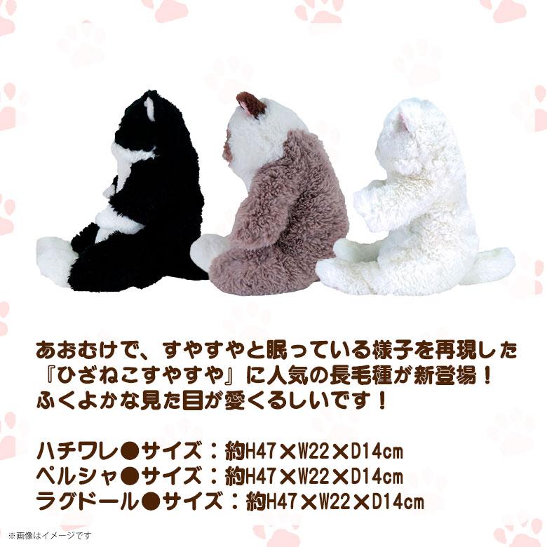 送料無料】ぬいぐるみ ひざねこ すやすや【全3種】 ラグドール GYBR