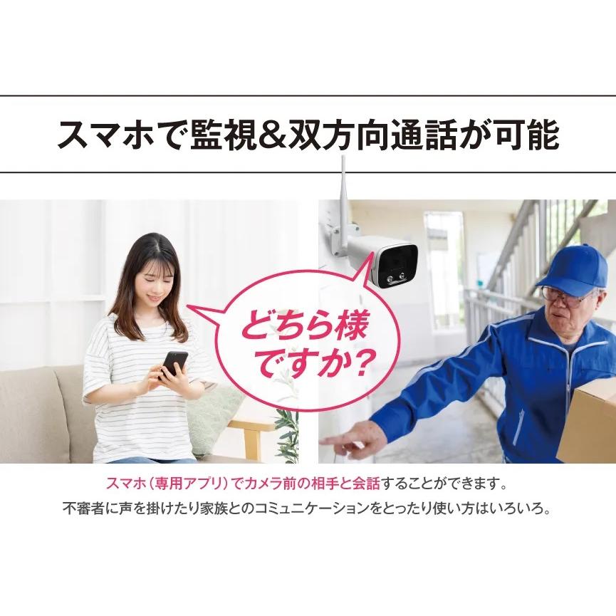 送料無料】ワイヤレス見張り隊NEOグランドスラム 2CR L-WMN-GS2CR