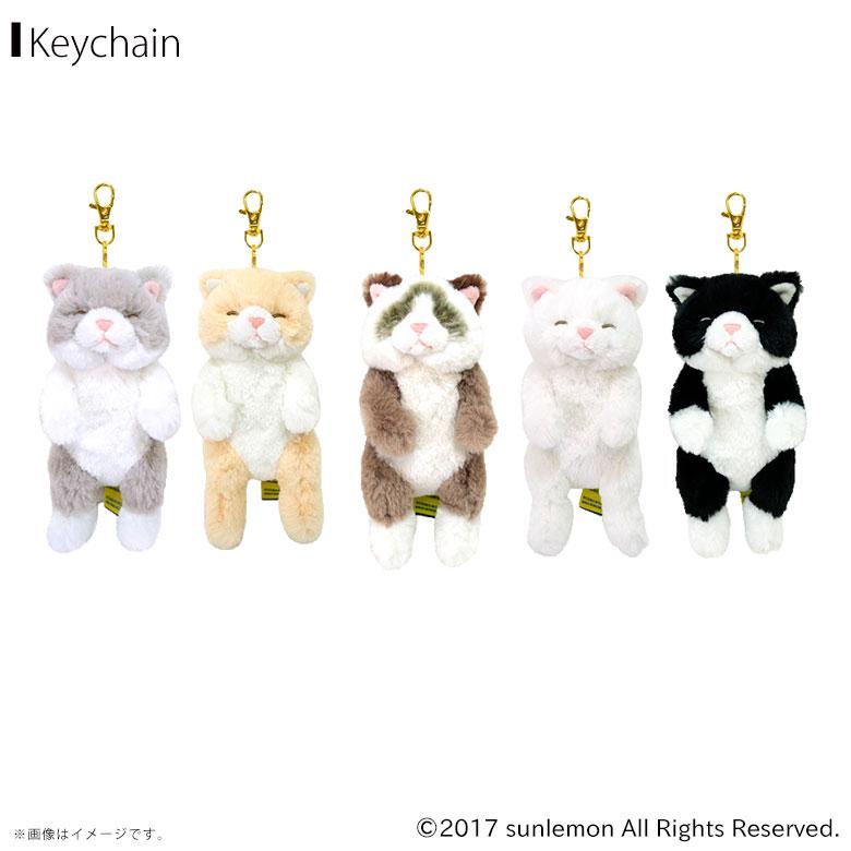 ひざねこ すやすや キーチェーン【全5種】【GY/CR/ラグドール GYBR