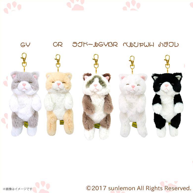 ひざねこ すやすや キーチェーン【全5種】【GY/CR/ラグドール GYBR