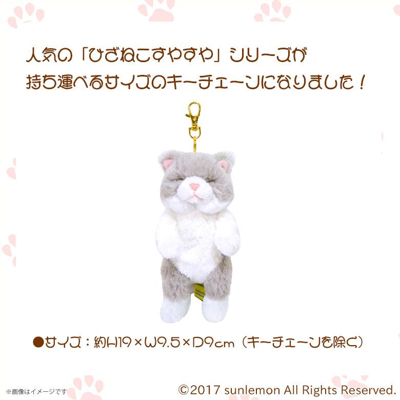 ひざねこ すやすや キーチェーン【全5種】【GY/CR/ラグドール GYBR