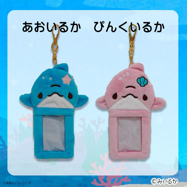 イルカのカード置き ゆるいるかカードホルダー【全2種】【あおいるか/ぴんくいるか】定期