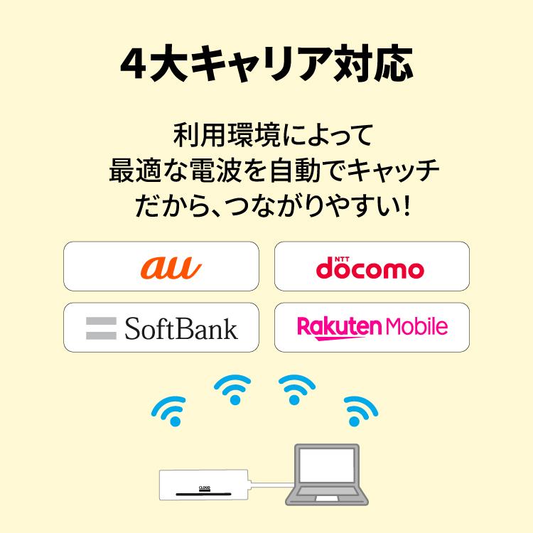 ポケットwifi USB型wifi モバイルwifi チャージ 100gb 365日