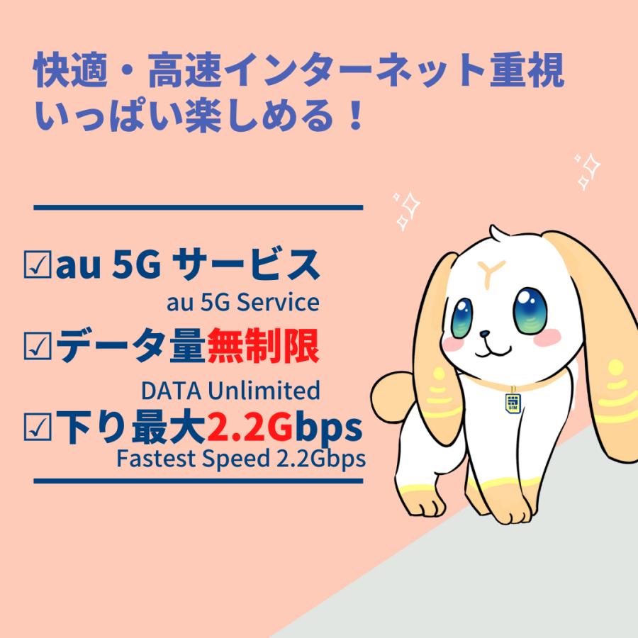 最新 5G 高速データAU/UQ WIMAX プリベイド ※SIM のみ※登場！【契約不要】ギガ無制限、使い放題【6ヶ月プラン】｜mobile-store｜03