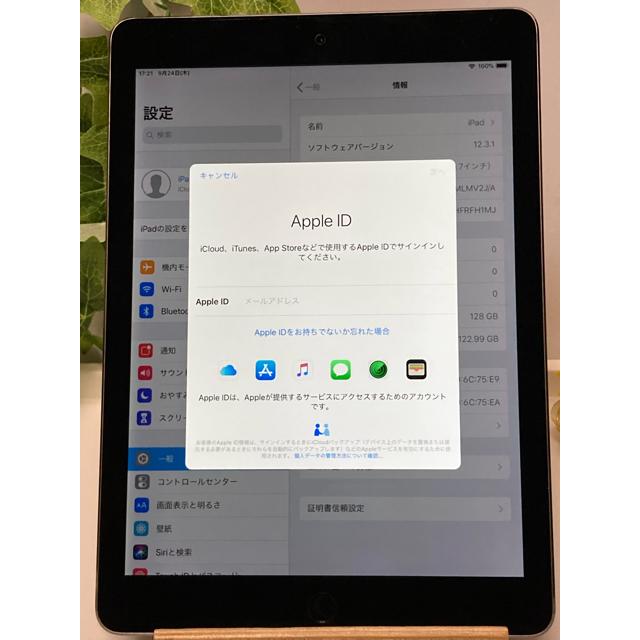 iPad Pro 9.7インチ 128GB バッテリー79% Wi-Fiモデル [MLMV2J/A
