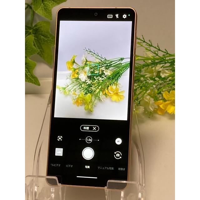 AQUOS sense 液晶キレイ アクオス AQUOS sense6s SH-RM19s 楽天版 SIM