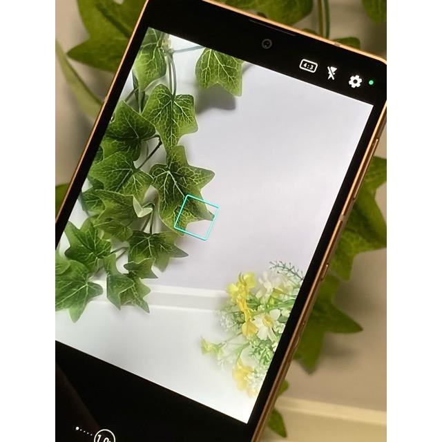 AQUOS sense 液晶キレイ アクオス AQUOS sense6s SH-RM19s 楽天版 SIM