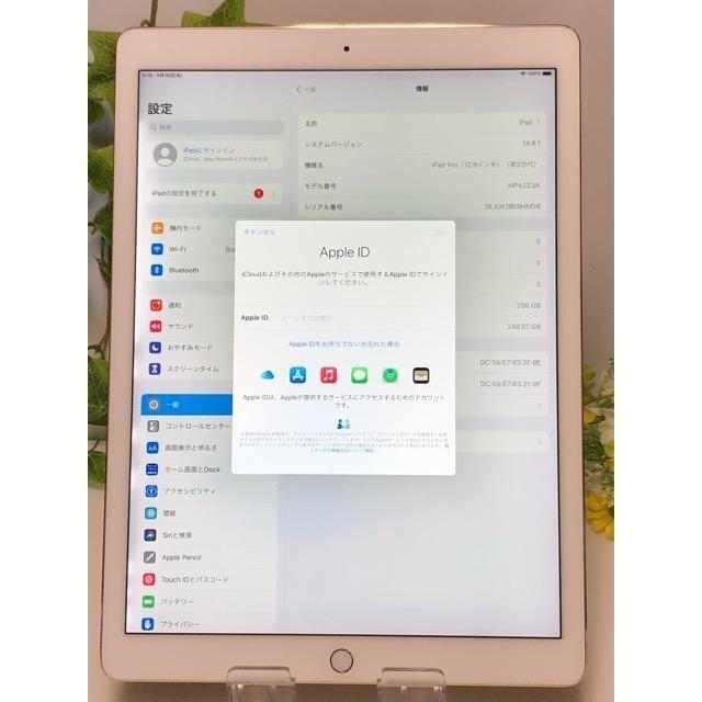 Apple iPad Pro 第2世代 MP6J2J/A ゴールド 12.9インチ 256GB Wi-Fiモデル タブレット アップル 中古 バッテリー良好 82％☆ A6494 | iPad | 06