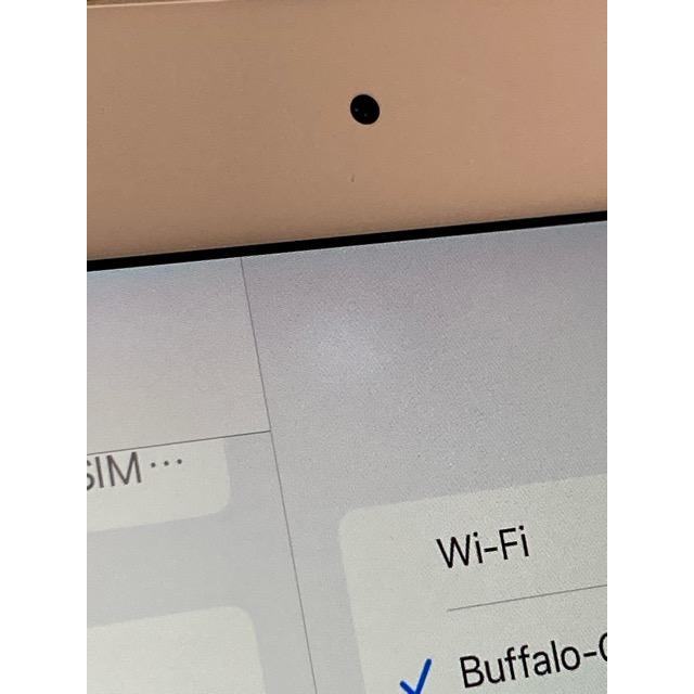 Apple ドコモ SIMフリー iPad Pro (9.7インチ) シルバー 128GB MLQ42J/A Wi-Fi+Cellular バッテリー最大容量90% ★ A7637 | iPad Pro | 03